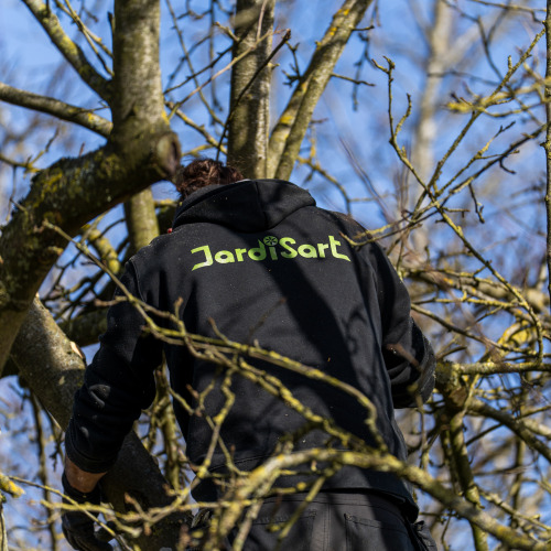 Jardisart - Entretien des arbres