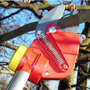 Jardisart - Atelier taille : apprenez à tailler comme un pro