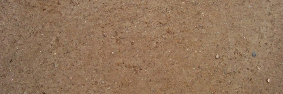 jardisart - Services - Analyse de terre