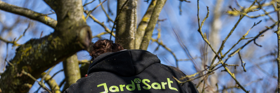 jardisart - Services - Démonstration ou réalisation de taille directement chez vous