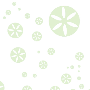 Koelreuteria paniculata