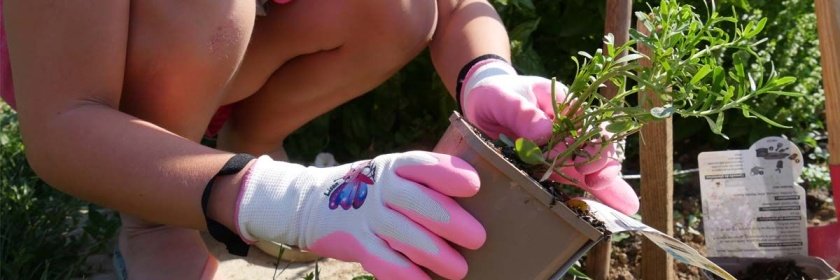 Jardisart - Magasin - Gants