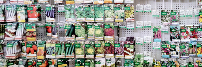 Jardisart - Magasin - Semences