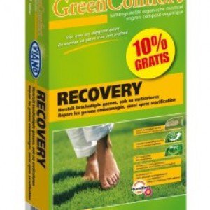 Recovery