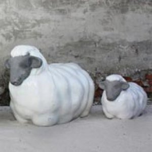 Moutons couchés