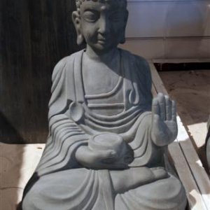 Budha with hand 