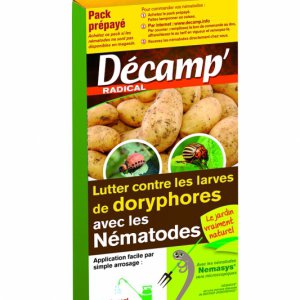 Lutter contre les larves de doryphores