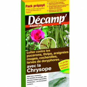 Lutter contre les nuisibles du jardin avec la chrysope