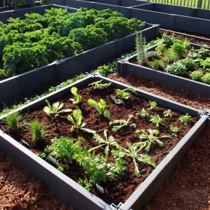 Bacs potager en plastique recyclé