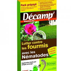 Lutter contre les fourmis