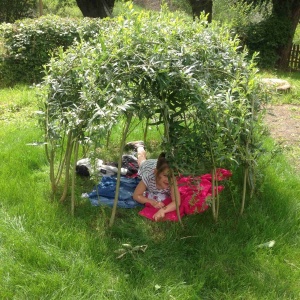 Ma cabane en saule