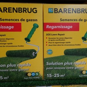 Semences de regarnissage gazon Barenbrug